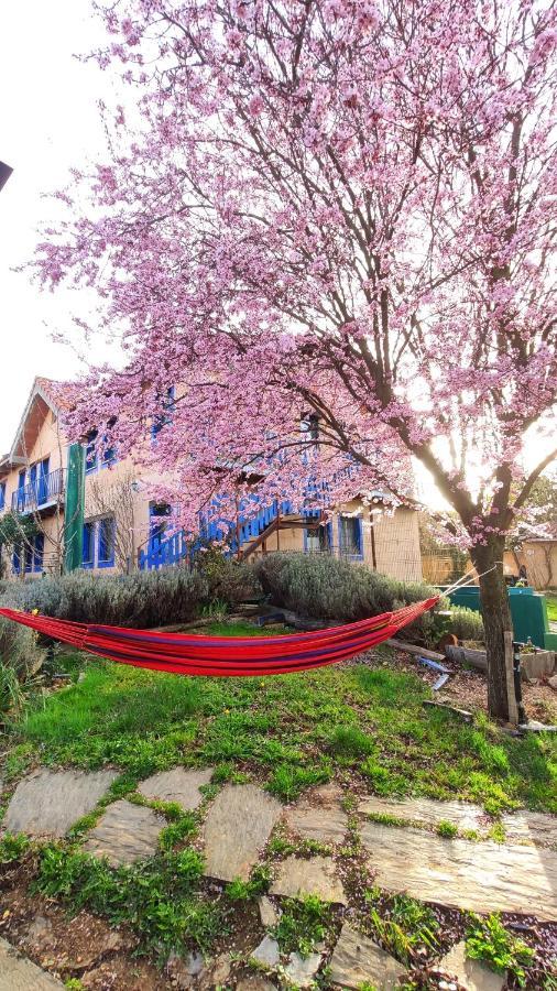 Albergue De Peregrinos Casa Flor Murias de Rechivaldo Dış mekan fotoğraf